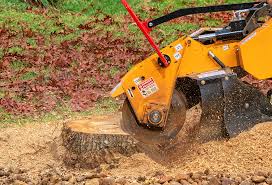 Best Weed Control  in Ephrata, PA